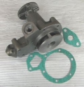 Water Pump Series1 Petrol